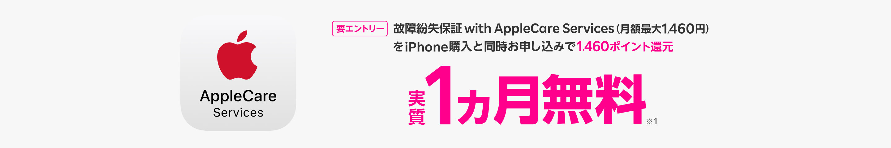 故障紛失保証 with AppleCare Services（月額最大1,460円）をiPhone購入と同時申し込みで1,460ポイント還元。実質1カ月無料。