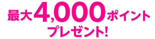 最大4,000ポイントプレゼント！