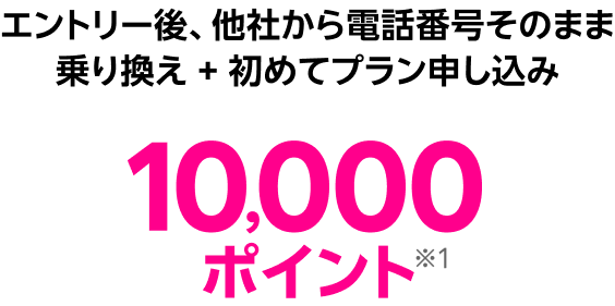 エントリー後、他社から電話番号そのまま 乗り換え + 初めてプラン申し込み10,000ポイント※1