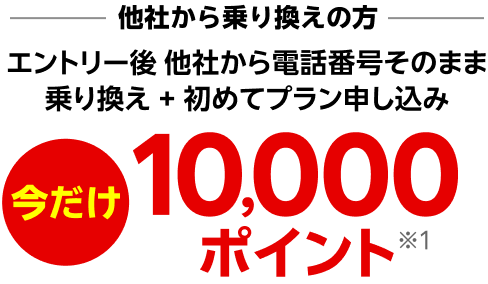 エントリー後他社から電話番号そのまま乗り換え + 初めてプラン申し込み 10,000ポイント※1