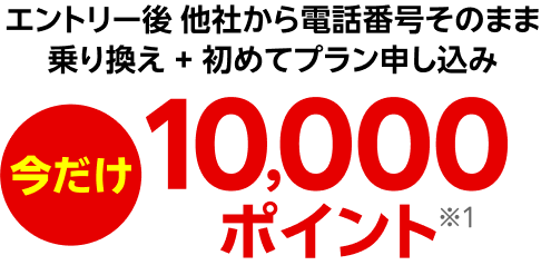 エントリー後、他社から電話番号そのまま乗り換え + 初めてプラン申し込み 10,000ポイント※1