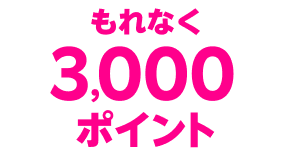 もれなく3,000ポイント