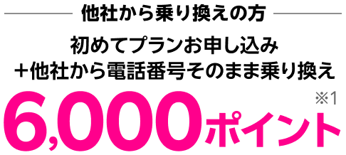 他社から乗り換えの方は、初めてプランお申し込み＋他社から電話番号そのまま乗り換えで6,000ポイント※1