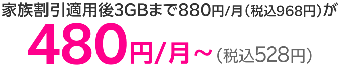 家族割引適用後3GBまで880円/月（税込968円）が480円/月~（税込528円）