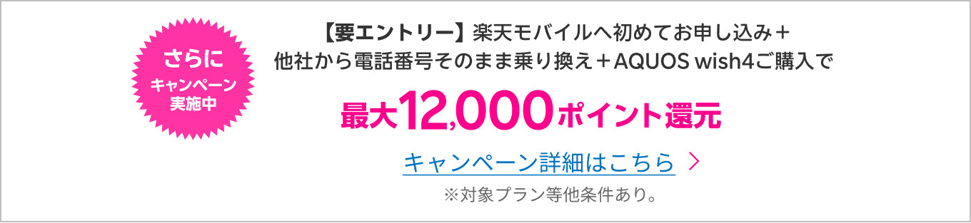 キャンペーン開催中！さらに12,000円値引き！