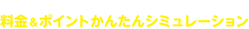 もっと詳しく知りたい方へ 料金＆ポイントかんたんシミュレーション