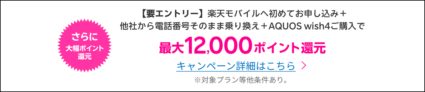 キャンペーン開催中！さらに12,000円値引き！