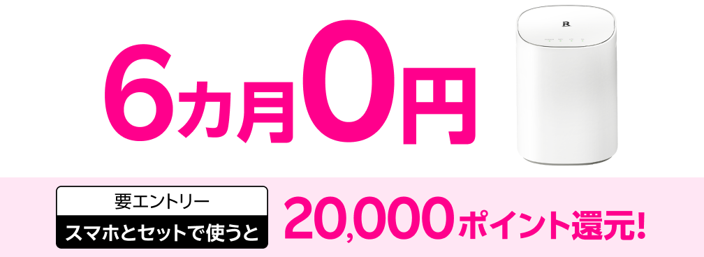 6カ月0円 要エントリー スマホとセットで使うと20,000ポイント還元！