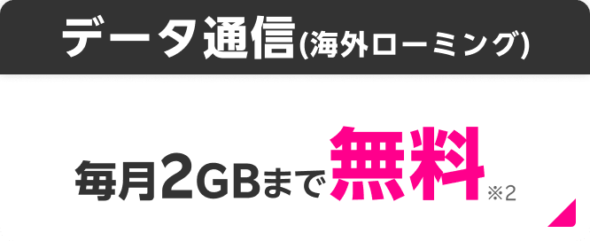 データ通信（海外ローミング） 毎月2GBまで無料※2