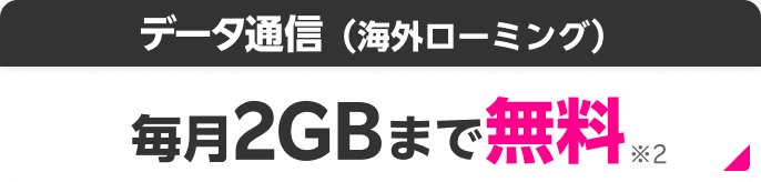 データ通信（海外ローミング） 毎月2GBまで無料※2